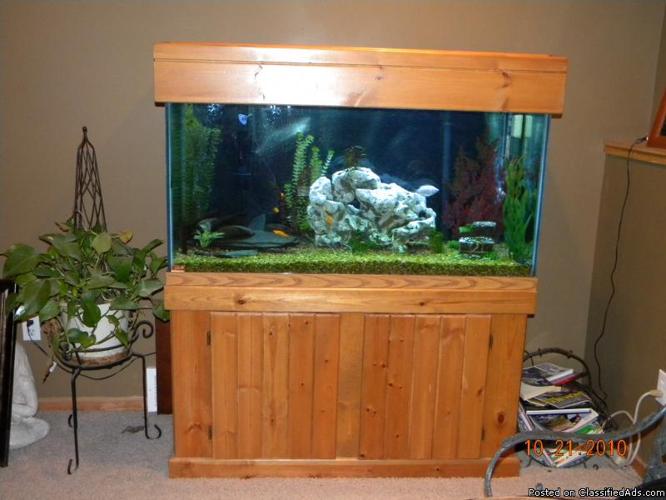 90 gal Oak cabinet fish tank - Price: $500