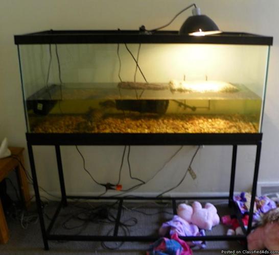 Aquarium For Sale - Price: $250.00 OBO