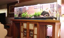 125 gallon aquarium with live plants and fish. Newly purchased custom stainless steel hood, custom wood stand. Includes Eheim filter/pump and many accessories. Must sell, leaving the State.