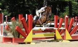 Lucky is a 13 year old thoroughbred gelding. I have had him since he was 4 years old. He has done the level 2 jumpers at A-rated shows and also barrel racing and team penning! He has taken some time off from jumping and is now getting back into it jumping