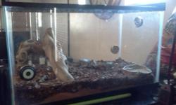 I have a 1 year old Ball Python. My wife doesn't like snakes so it is time for this one to go to a new home! The python and the cage come as a packaged deal and are going for free! This python is very easy to take care of and feeds weekly. Looking for a