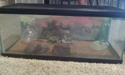 Selling a 20 gallon long terrarium. Great for most reptiles, comes with everything shown in picture. There is &nbsp;a small hole in the lid but it causes no problems at all. Comes with reptile carpet. Scenery in background is simply removable. Asking 25