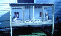 Both run rabbits good kennel manners will make deal for both and pen 210-828-9441