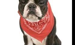 "Doggie Dannas" are so stylish and have some benefits as well!!!
Our "Doggie Danna's" come in a wide variety of prints, from classic paisley bandanas to fashionable florals, to chic retro designs. You and your dog will turn heads as he/she sports our