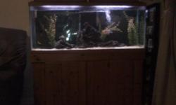 light wood all excesories if u like fish included. lighted hood, heater. timmer.