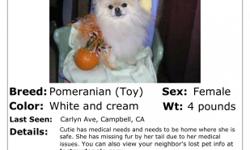 SEEN TAKEN IN CAMPBELL,CA ON 7-16-10
$$$5,000 CASH REWARD PLEASE WE ARE SICK ABOUT THIS
FEMALE
WHITE OR LIGHT CREAM
7Y/O
BALD SPOT BY HER TAIL CANT MISS IT
ABOUT 5 POUNDS
PINK DOT ON HER NOSE
$$$5,000 REWARD WE WILL BE HAPPY*** TO PAY$$$$ IF ITS ARE BABY
