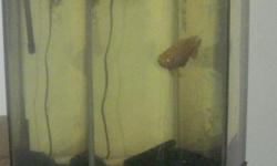 80 gal octagon fish tank great condition with stand filter heater and lamp 750.00 or best offer pick up only