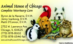 Animal House of Chicago, Complete Veterinary Care currently serves the Greater Chicagoland area. The professionals at the Animal House are qualified to provide the highest quality veterinary services for all animals, including dogs, cats, birds, reptiles,