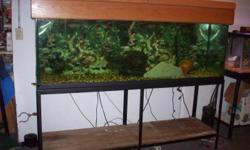 I am selling a 135 gallon aquarium with double stand and beautiful oak top. Please e-mail me if interested.