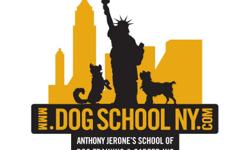 ***** Next Class Starts on July 11th, 2011 *****
Anthony Jerone's School of Dog Training & Career, Inc. is Licensed by the New York State Bureau of Education to train people to become a certified animal behavior consultant, certified animal behavior