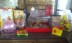 Double level Cage with running wheel and water bottle, running ball, house, toillette, litter for toillette and wood shavings, 2 female Hamsters