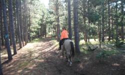 If you love camping with your horse, check out Horse-N-RoundHorseCamp.com. We are a secluded, small campground in the middle of the Huron National Forrest, 4 miles from Shore-to-Shore trail, but miles of trails right outside your door. 5 miles from