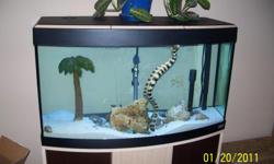 Comes with everything that is with this tank. Has a 18 inch Snowflake eel, all the live rock and sand and a striped crab