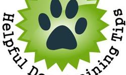 Beyond the efforts you put forth into housebreaking your dog, you need to teach your dog basic obedience. You will quickly learn that your dog responds to your authority.
Visit www.HelpfulDogTrainingTips.com for free dog training tips on housebreaking,