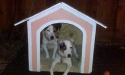 New dog and cat houses all wood
With carpet in the inside
And shingles
I may have some already made
Or may take one to one and a half days for extra large and jumbos
Se habla Espanol
Call Jose at 909-562-0719 home
Cell 909-262-1973 call or text
E-Mail