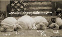 Two males and one female remaining see photos and information at www.bulldogsofalabama.com or call 205-478-0392