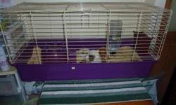 I have a female guinea pig that needs rehoming asap. I am unable to give her the attention she needs. Large cage included. Rehoming fee 75$