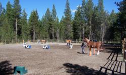 We are a small private farm specializing in natural horsemanship. We have an enclosed arena, an outdoor arena, and boarding for up to 6 horses. Outdoor Arena renting for clinics is available. Clinician to provide own insurance.
Latifah: gentle, kind,