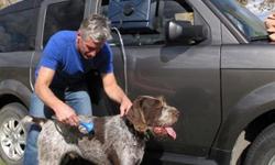 The K9 Shower is a unique and effective solution to a common problem. Dogs get dirty, and then need to come into your car or home. The K9 Shower is portable and can be used anywhere to deliver up to 2.2 gallons of warm water which enough to thoroughly