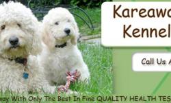 We Have Puppies!!!!!!!
Kareaway Kennels is located in Xenia Ohio. Xenia is just outside of Dayton, Columbus, Middletown, Vandalia, Springfield, Troy and Cincinnati Ohio. We are drivable to Toledo, Michigan, Kentucky and Indiana. Kareaway Kennels is in a