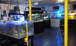 My system is a 120 gallon reef ready with sump, lights, mature reef of 7 1/2 years. plumbed inline is a 3 stage step waterfall system. The waterfall system is 90G + 45G + 30G. The 3 stage system is all connected to my main reef sump in the 120. An