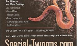 We sell worms and worm castings for your home and garden needs. Please go to special-tworms.com thank you