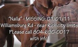 LOST - Chocolate Brown Weimaraner ? East End Henrico / Richmond.
Nalla (a Brown Weimaraner) is 10 yrs old, spayed, 75 pounds, with a short docked tail, & wearing a faded purple collar. She got out of our fenced yard on New Year's Eve after dark. She is