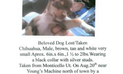 Reward: chihuahua brown/tanand white small 2lbs with a black collar with silver studs taken from north Monticello Utah Aug.20th by a graiy haired wonan in a dark blue Sudan four door.&nbsp; With three other small dogs in the car( possibly