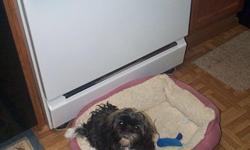 Female shih-tzu puppy has all her shot she 5 month old tan black white also potty training one female left also good with childrens and other animals she a pure breed and has ACA Registration please contact me at aswood6@aol.com