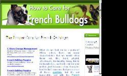 The Proper Care for French Bulldogs
What do we look for in a partner? When asked, there are many characteristics that we would often throw out, like, loyal, playful, affectionate, trustworthy, funny, thirsty for knowledge, and looks out for your welfare,