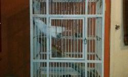 Beautiful white lovable&nbsp;male umbrella cockatoo. 5 years old. Great with kids and everyone. Very well tamed and trained.&nbsp;Speaks two languages (English and Spanish). Price includes large heavy duty bird cage. Great Christmas gift for anyone