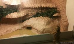 Hand Made reptile habitats, basking platforms, feeding stations, and aquarium backgrounds.
Half the fun of having reptiles or fish is making them comfortable and happy for a long life, the other half is showing off how cool your setup looks.
If your